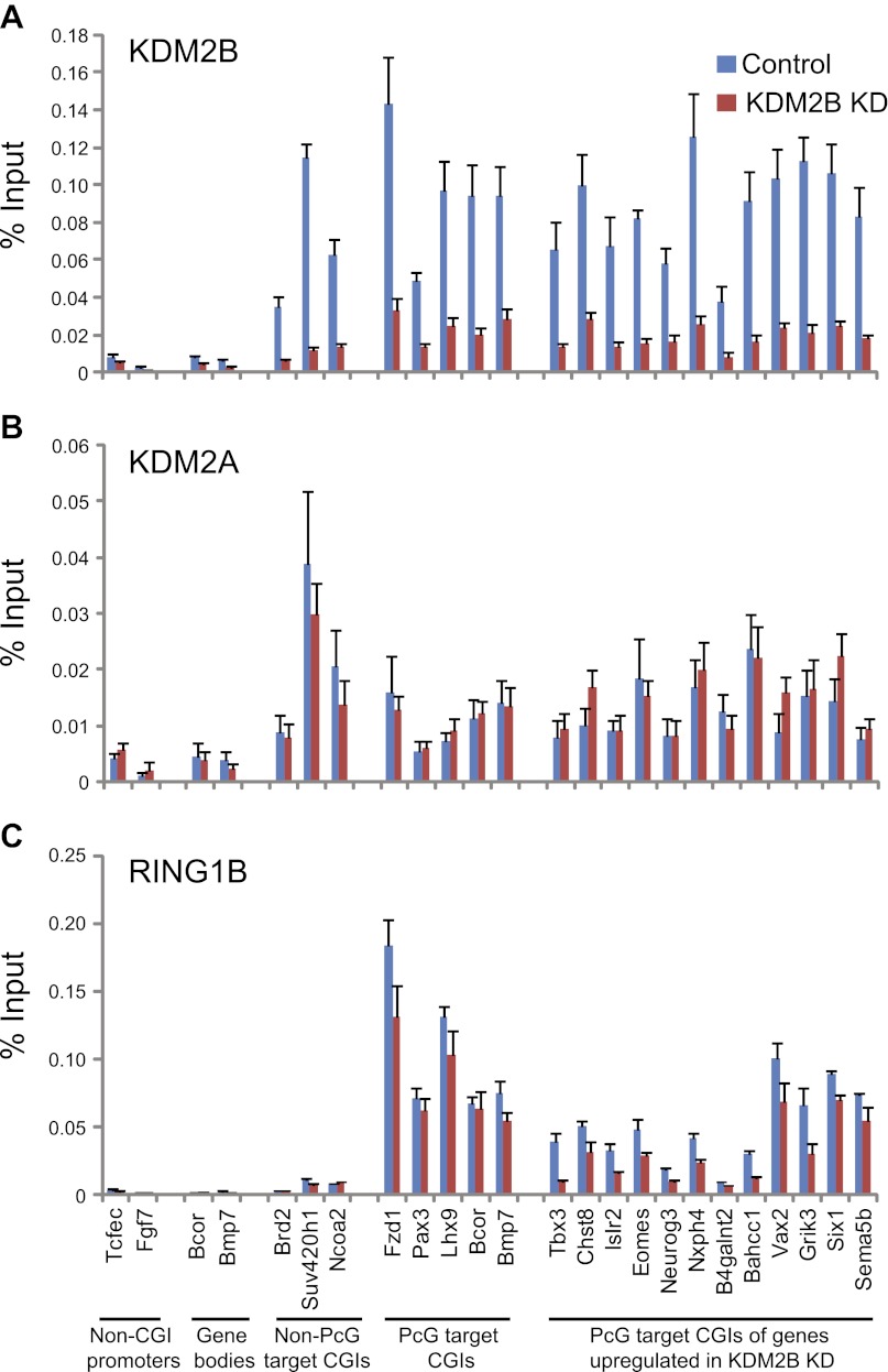 Figure 6—figure supplement 2.