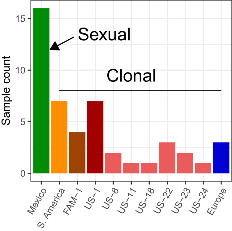 FIG 1