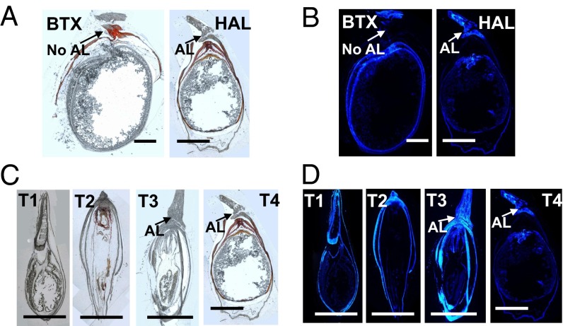 Fig. 6.