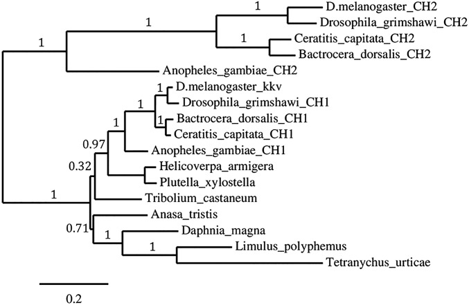 Fig. S4.