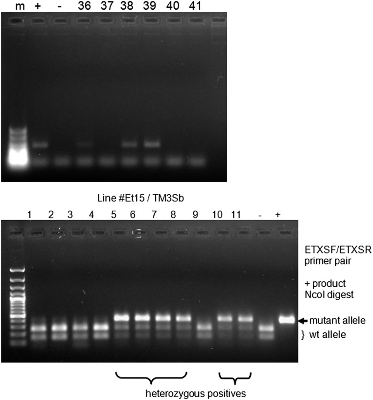 Fig. S6.