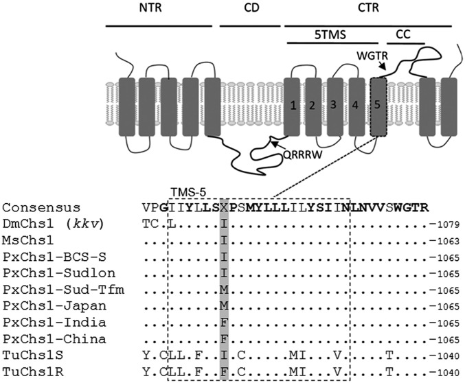 Fig. 2.