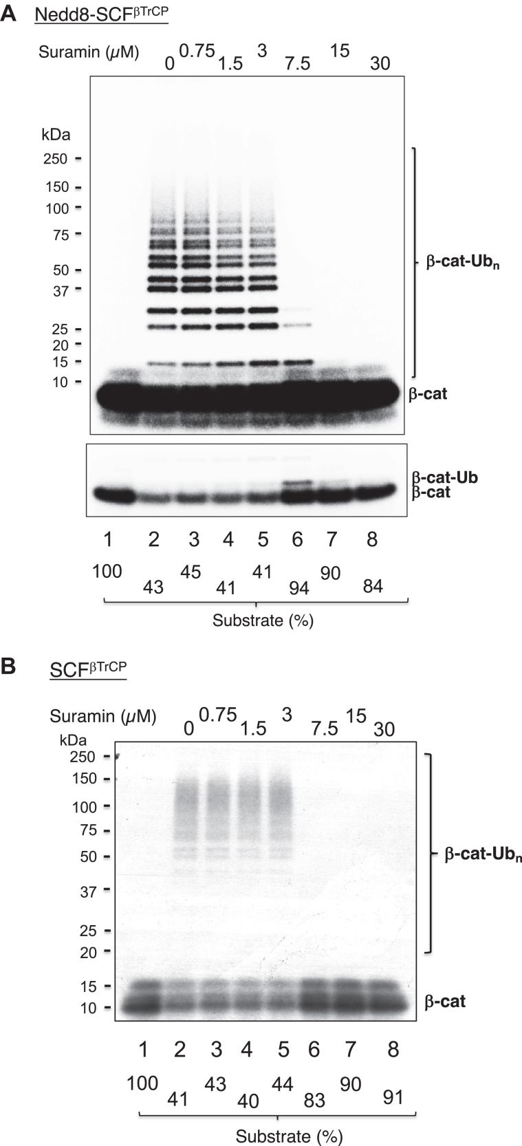 Figure 9