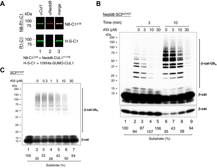 Figure 7