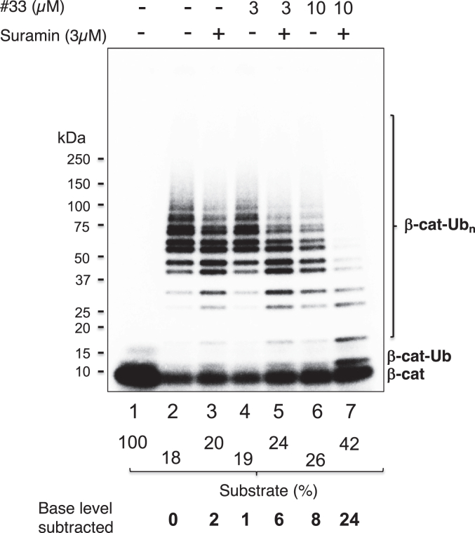 Figure 10