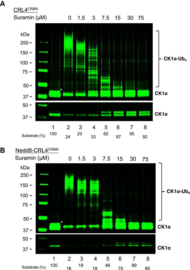 Figure 6