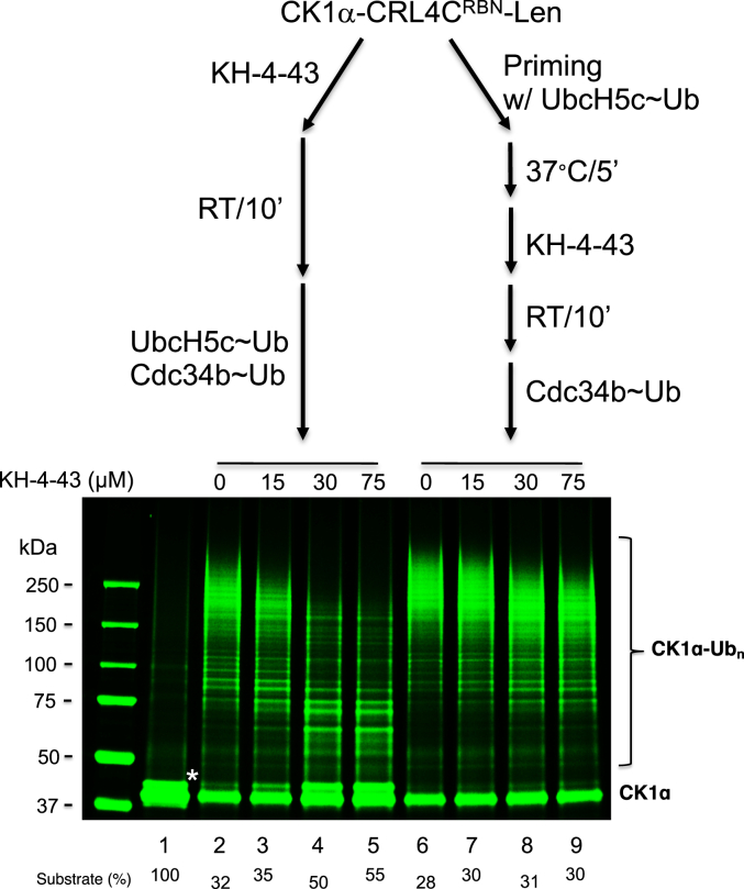 Figure 4