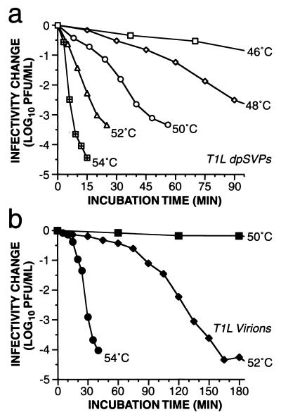 FIG. 8.