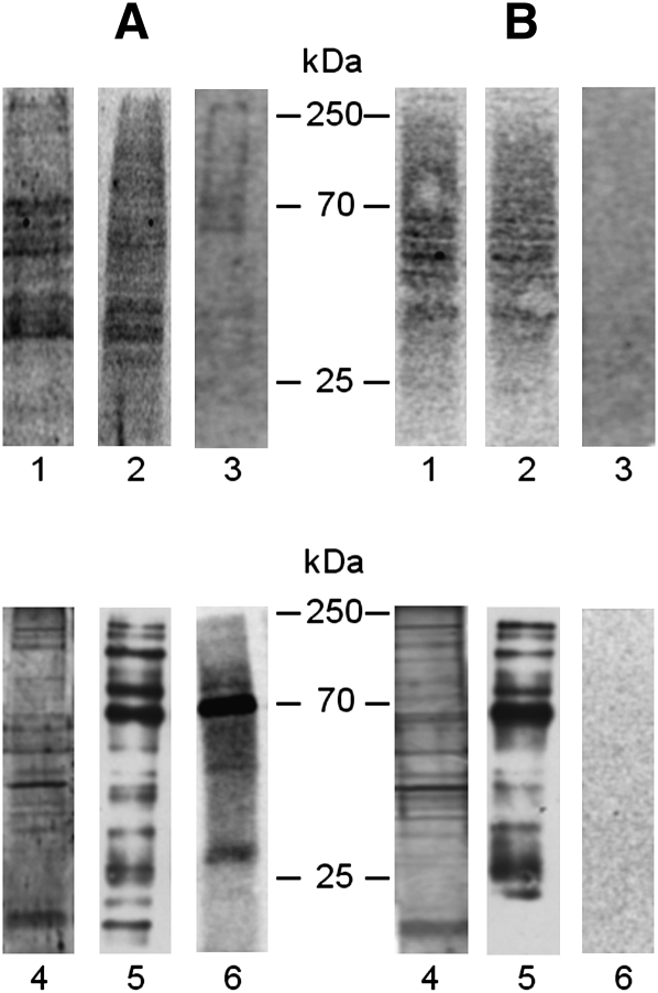 Fig. 9.