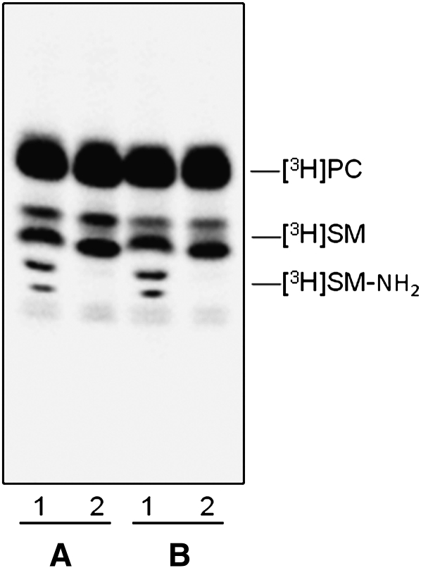 Fig. 8.