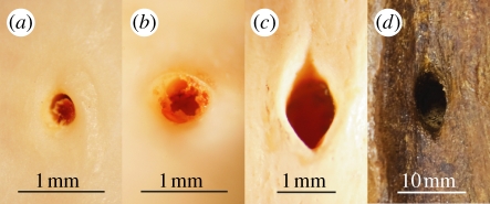 Figure 1.