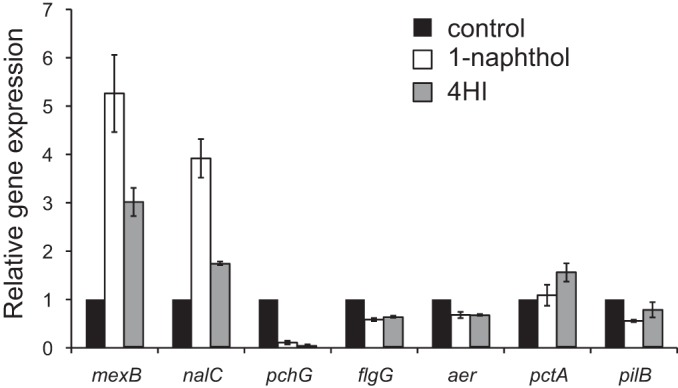 FIG 6