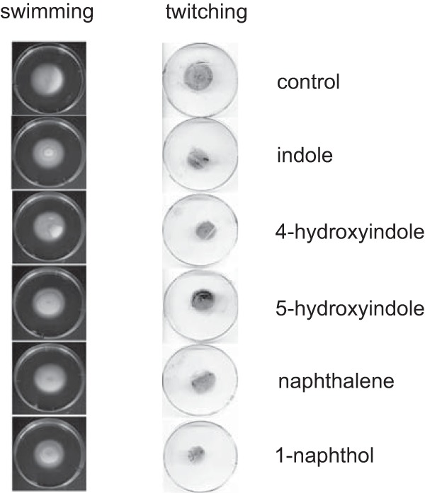 FIG 2