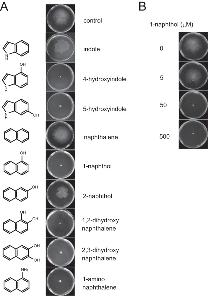 FIG 1