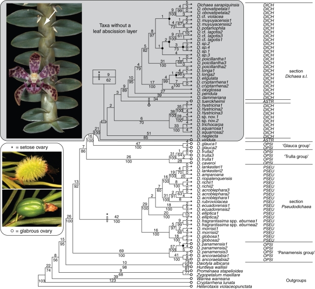 Fig. 3.