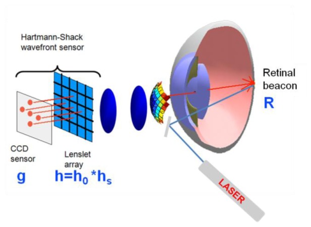 Fig. 3