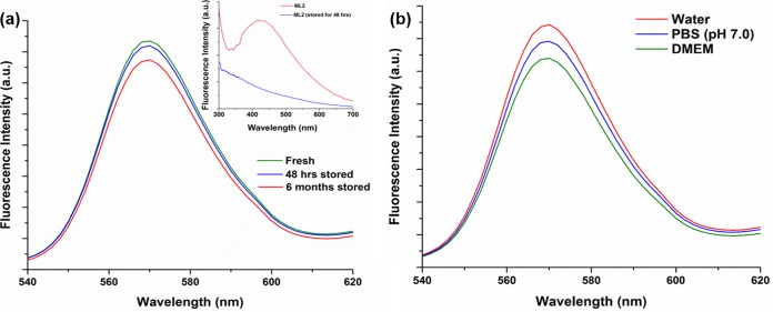 FIG 6