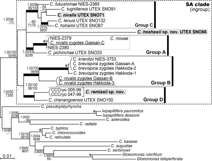 Fig 4