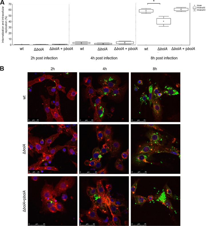 FIG 6