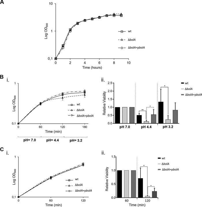 FIG 2