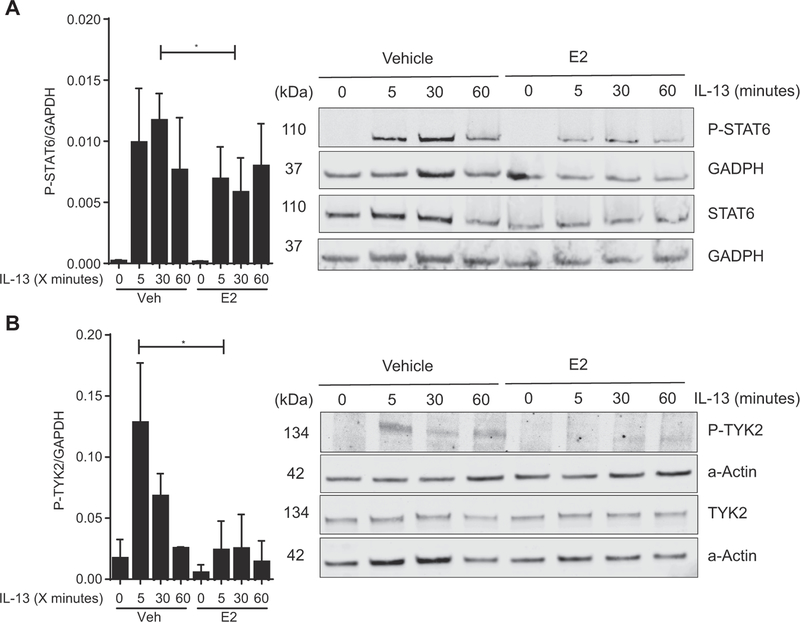 FIG 4.