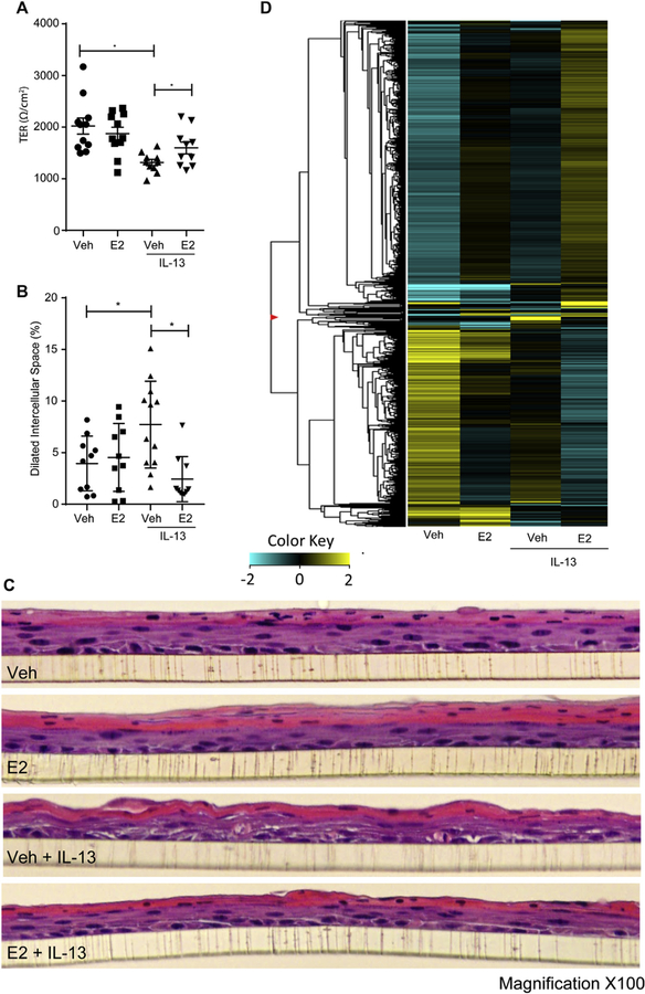 FIG 3.