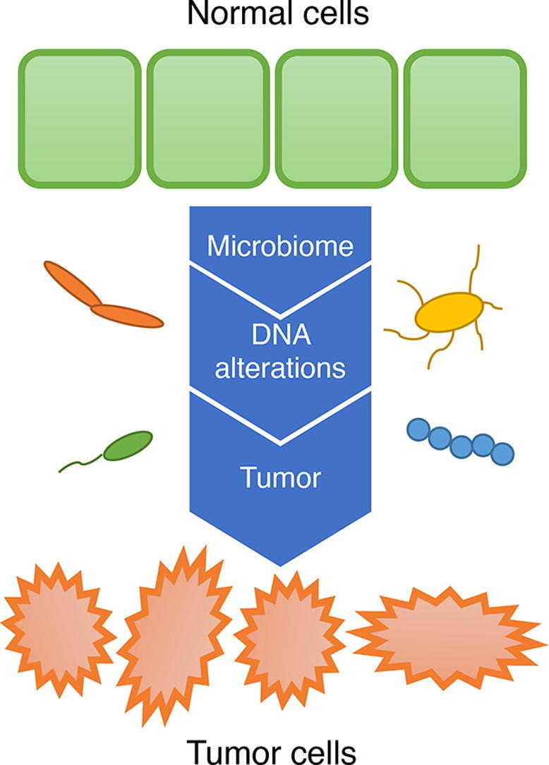 graphic file with name ga1.jpg