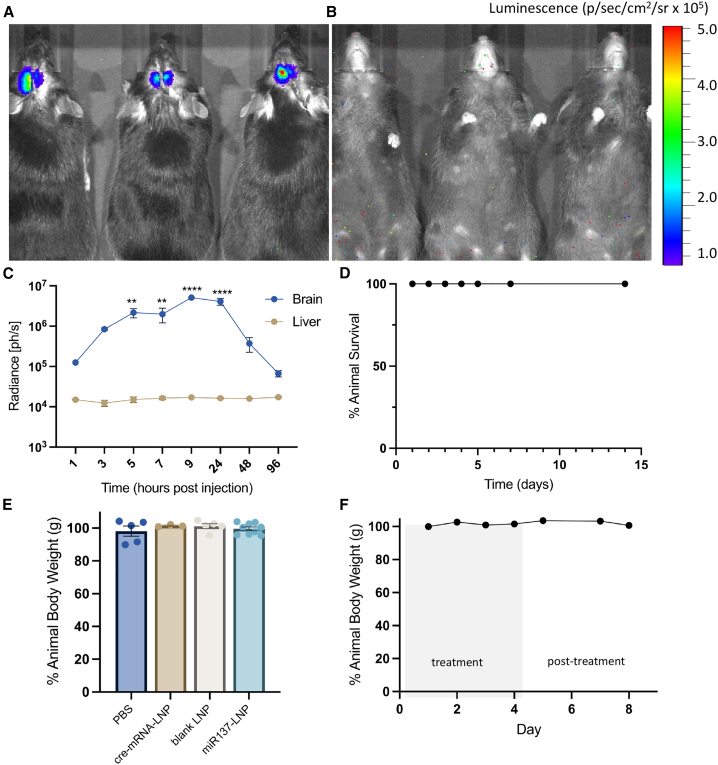 Figure 3