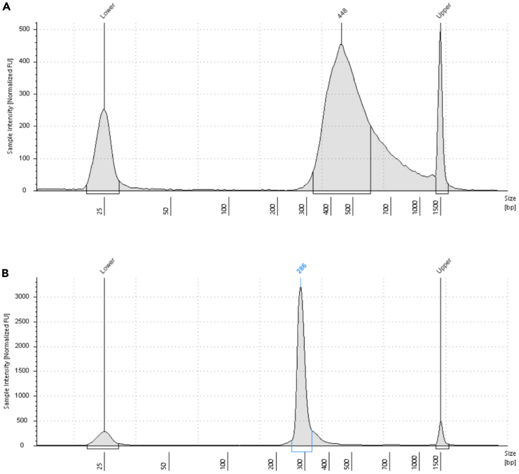 Figure 7