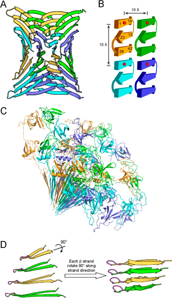 FIGURE 9.