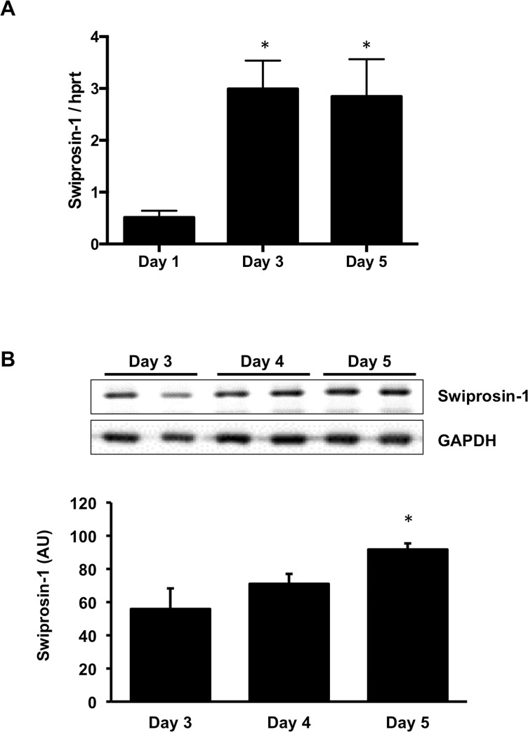 Fig 3