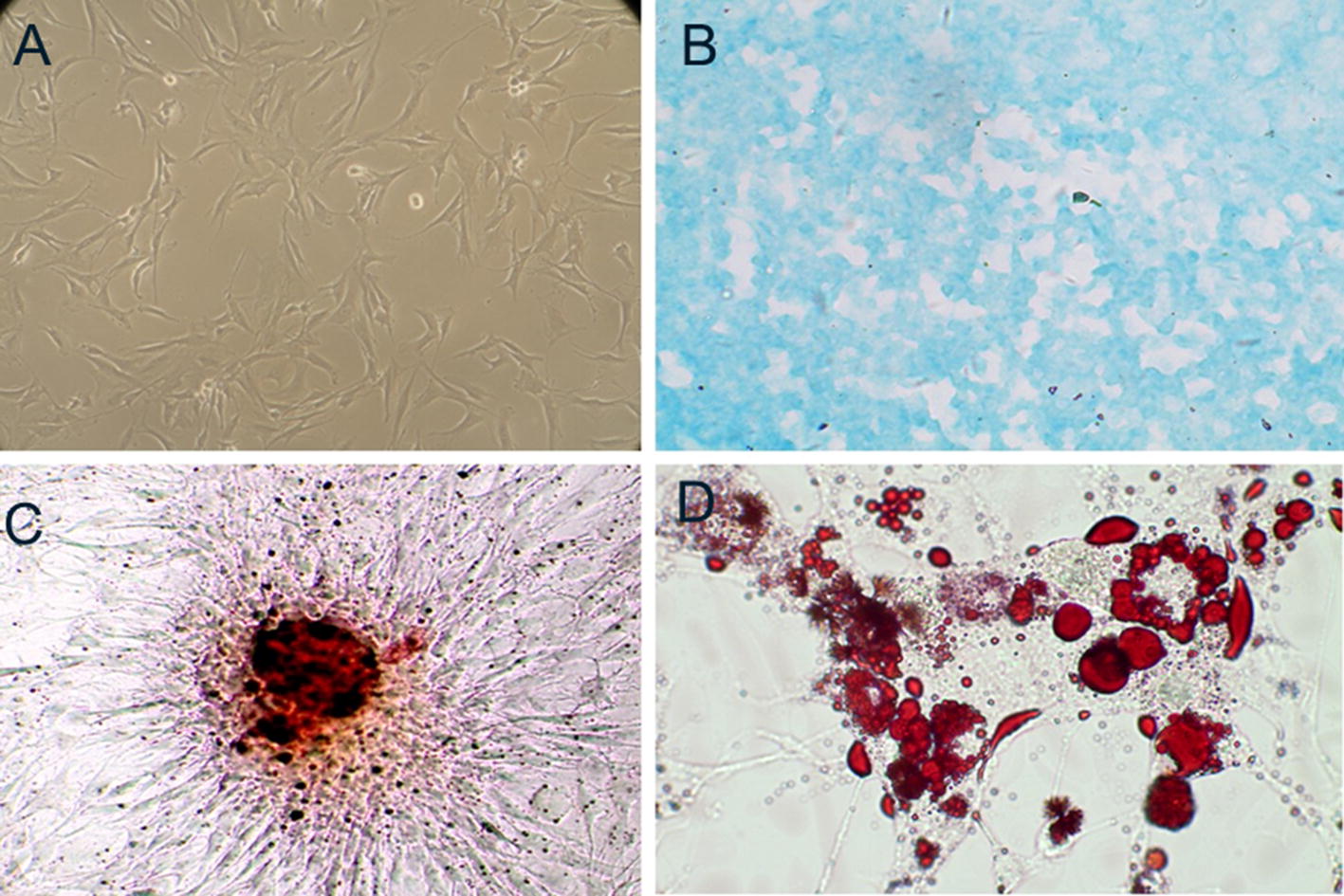 Fig. 2