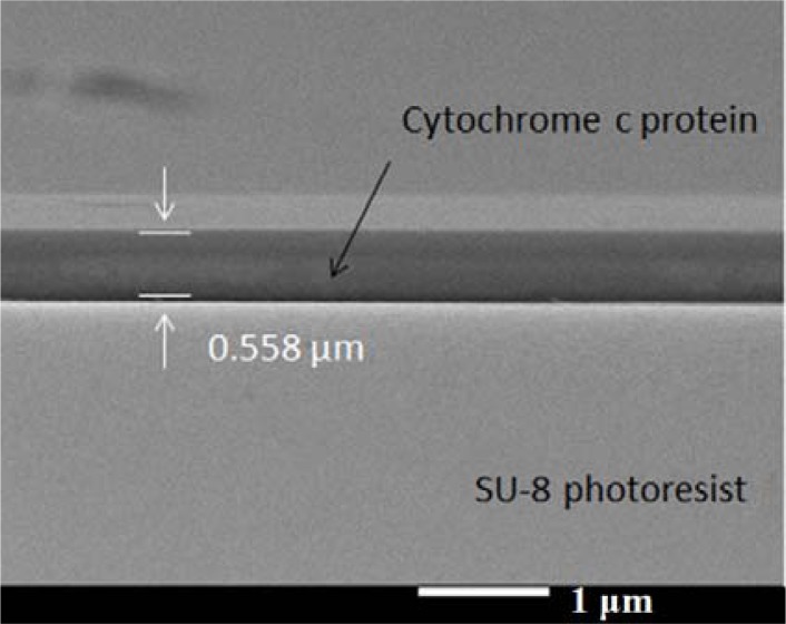 Figure 9.