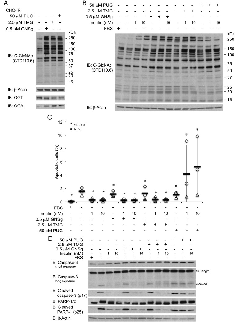 Fig. 2.