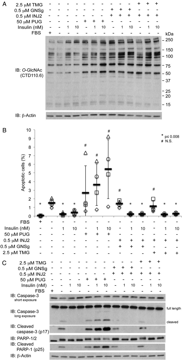 Fig. 4.