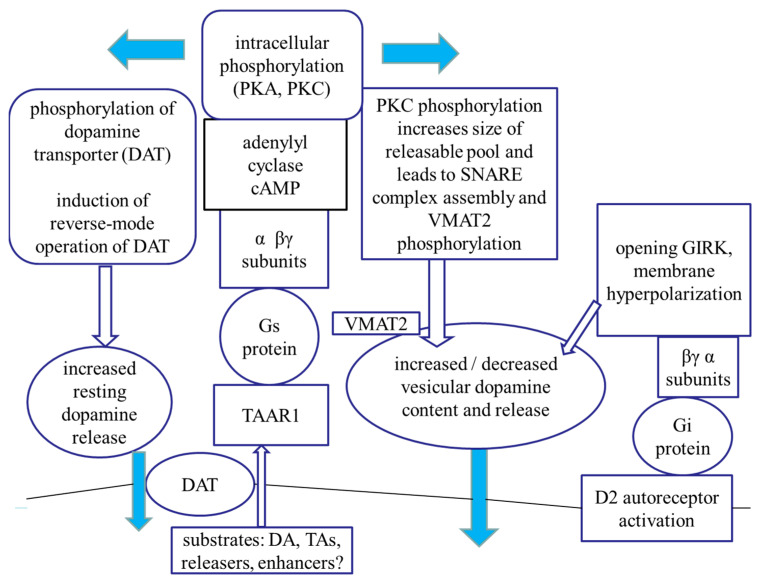 Figure 23