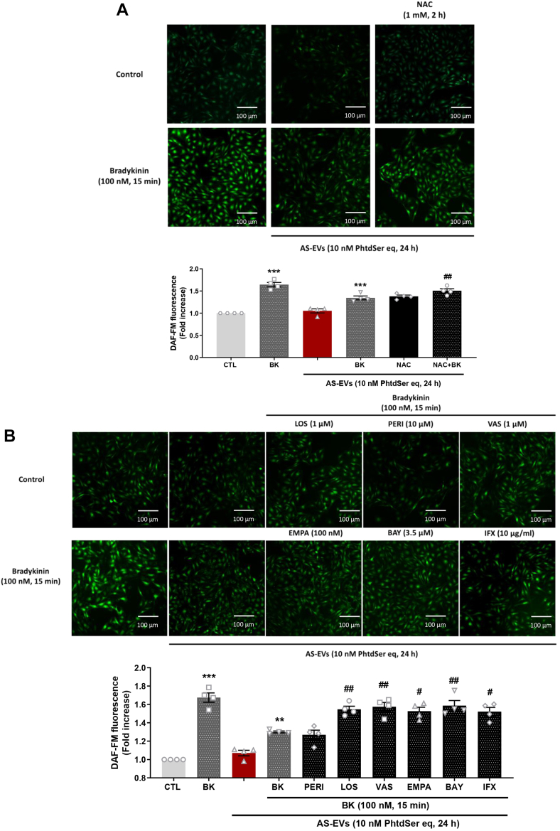 Figure 6