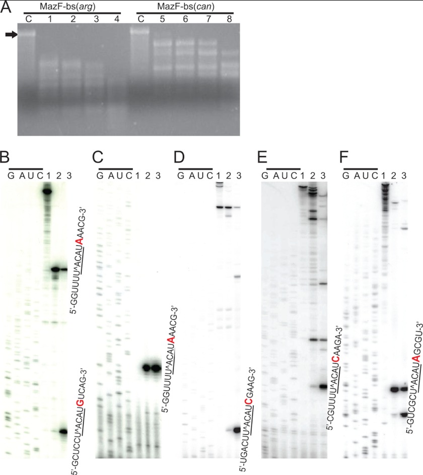 FIGURE 4.