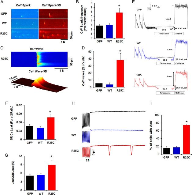 Figure 6