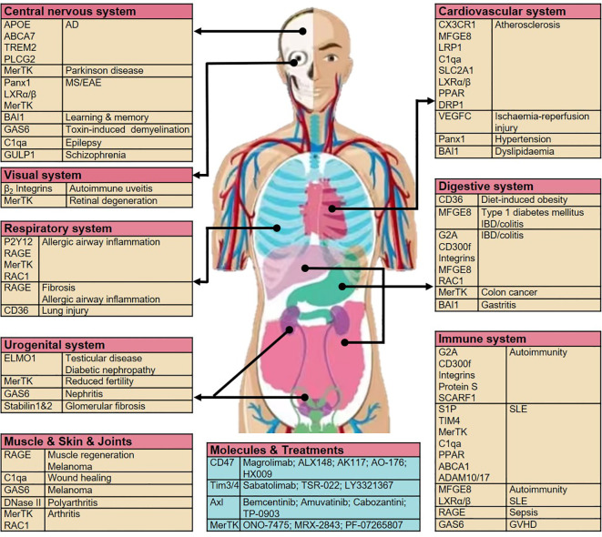 Figure 3