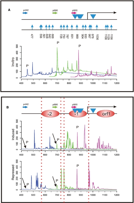 Figure 4.