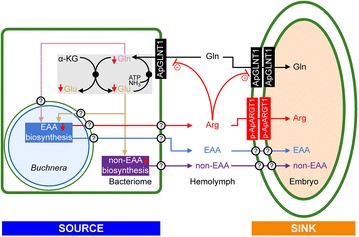 Fig. 6