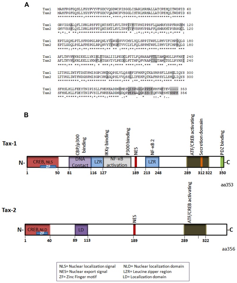 FIGURE 1