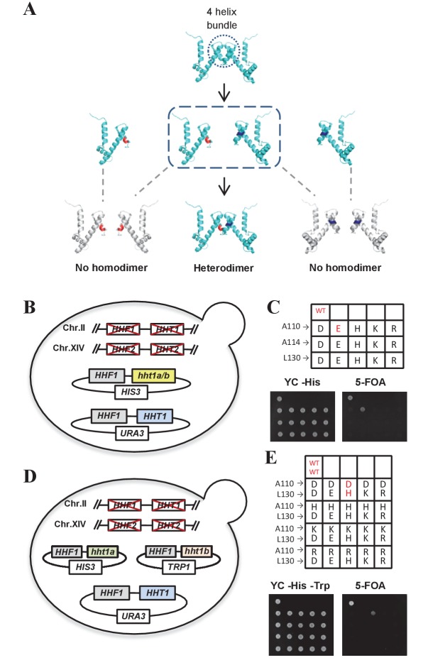 Figure 1.