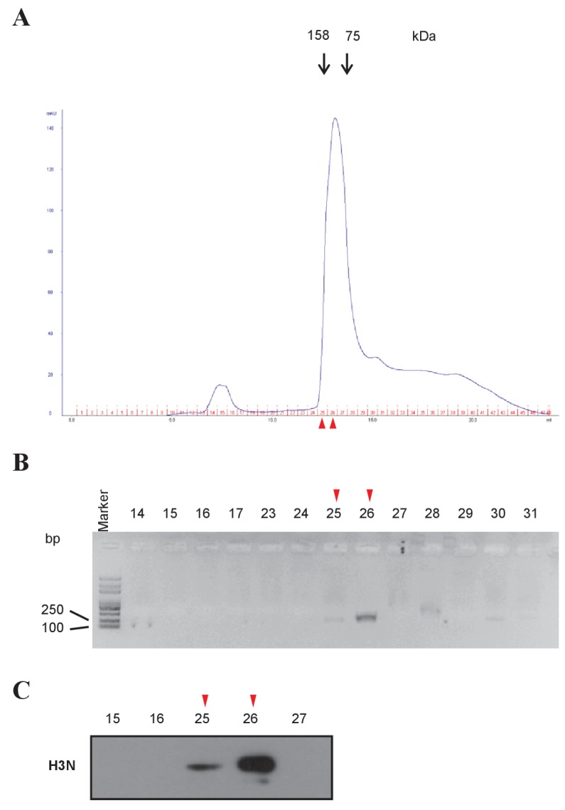 Figure 2—figure supplement 1.