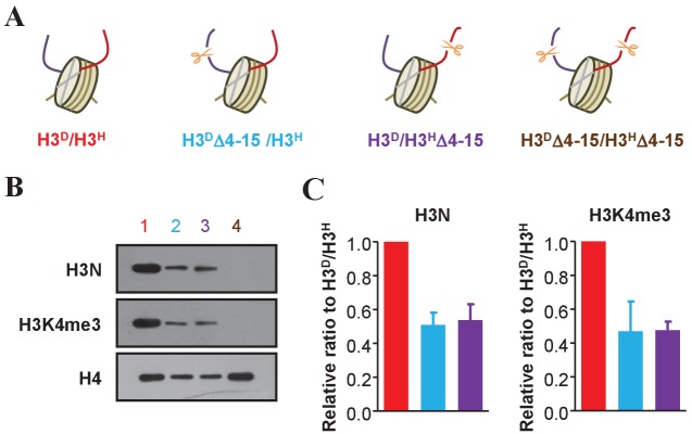 Figure 3.