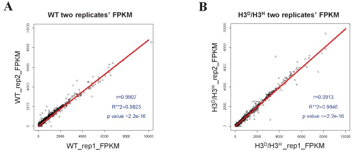 Figure 2—figure supplement 2.