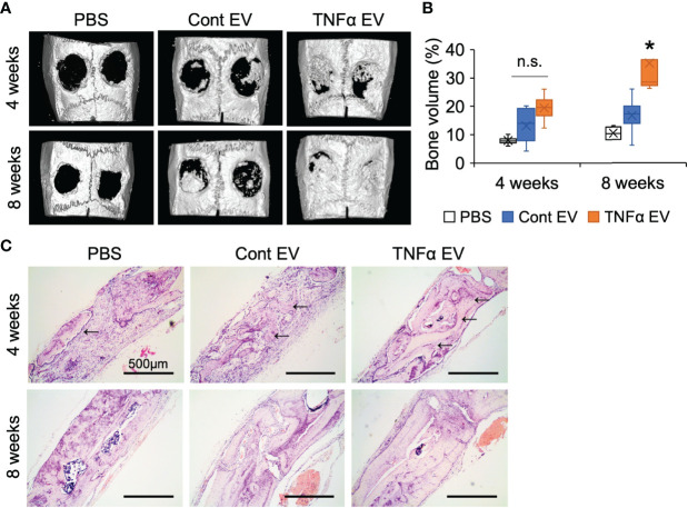 Figure 6