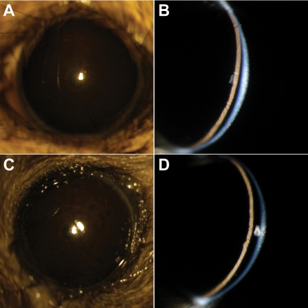 FIGURE 10.