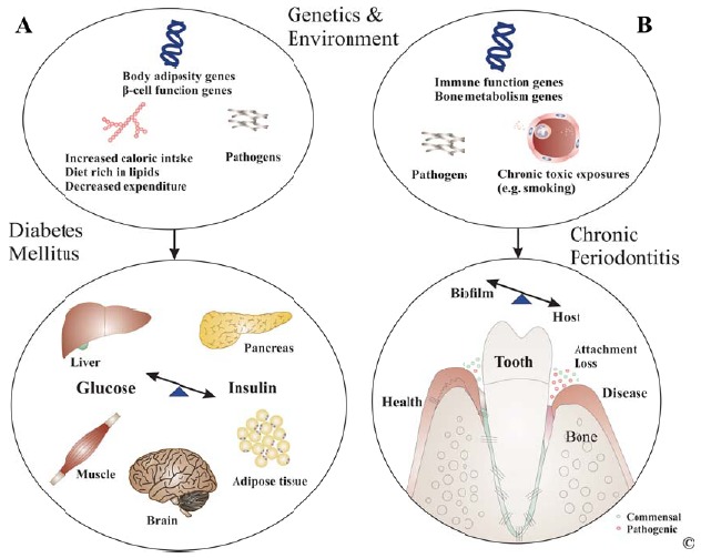 Fig. (1)